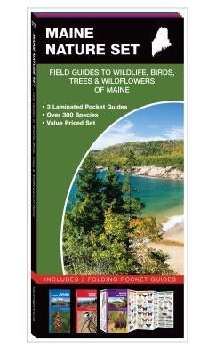 Maine Nature Set: Field Guides to Wildlife, Birds, Trees & Wildflowers of Maine by Kavanagh, James