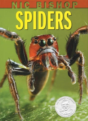 Nic Bishop: Spiders by Bishop, Nic