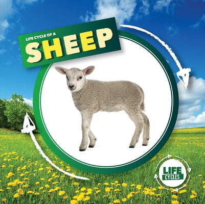Life Cycle of a Sheep by Holmes, Kirsty