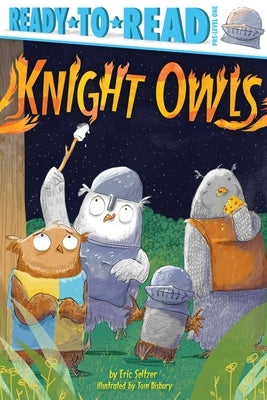 Knight Owls: Ready-To-Read Pre-Level 1 by Seltzer, Eric
