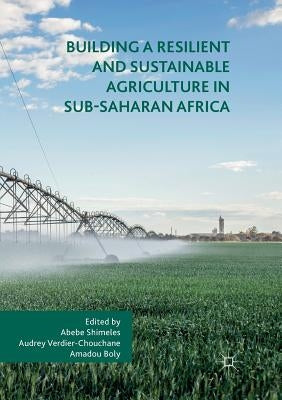 Building a Resilient and Sustainable Agriculture in Sub-Saharan Africa by Shimeles, Abebe