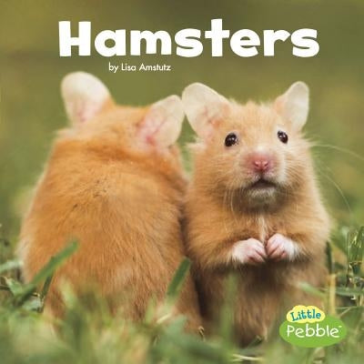 Hamsters by Amstutz, Lisa J.
