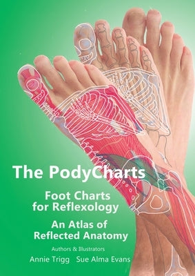 The PodyCharts Foot Charts for Reflexology: An atlas of reflected anatomy by Trigg, Annie