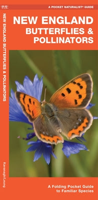 New England Butterflies & Pollinators: A Folding Pocket Guide to Familiar Species by Kavanagh, James