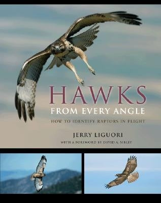 Hawks from Every Angle: How to Identify Raptors in Flight by Liguori, Jerry