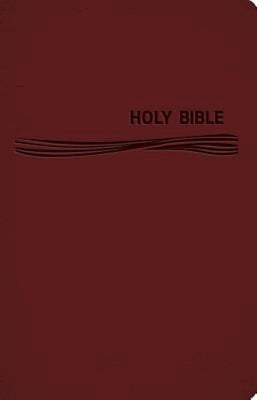 Ceb Common English Deep Blue Kids Bible Decotone Burgundy: Diving Deep Into God's Word by Common English Bible