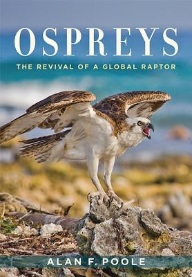 Ospreys: The Revival of a Global Raptor by Poole, Alan F.