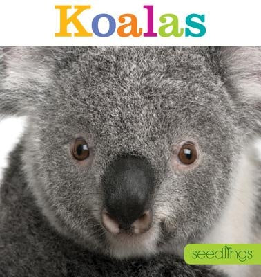 Seedlings: Koalas by Riggs, Kate