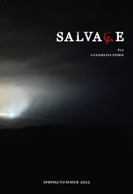 Salvage #12: A Ceaseless Storm by Salvage