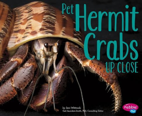 Pet Hermit Crabs Up Close by Saunders-Smith, Gail