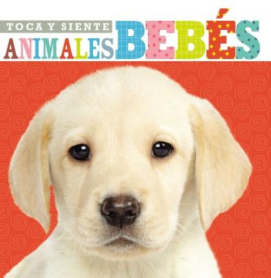 Toca Y Siente Animales Bebés by Nelson, Grupo
