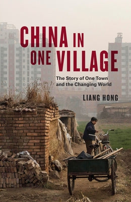 China in One Village: The Story of One Town and the Changing World by Hong, Liang