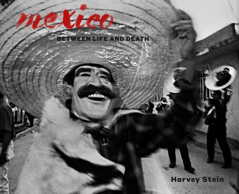 Mexico: Between Life and Death by Stein, Harvey