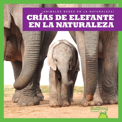 Crías de Elefante En La Naturaleza (Elephant Calves in the Wild) by Brandle, Marie