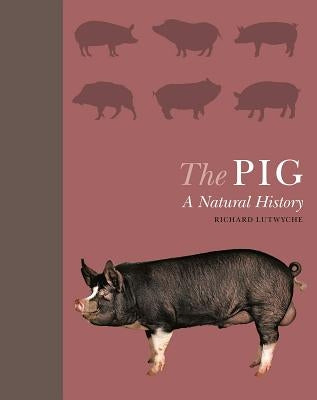 The Pig: A Natural History by Lutwyche, Richard