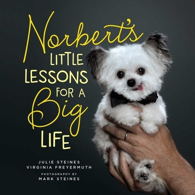 Norbert's Little Lessons for a Big Life by Steines, Julie