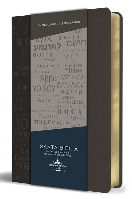 Biblia Rvr 1960 Letra Grande Tamaño Manual, Simil Piel Gris Con Nombres de Dios / Spanish Bible Rvr 1960 Handy Size Large Print Leathersoft Grey, Name by Reina Valera Revisada 1960