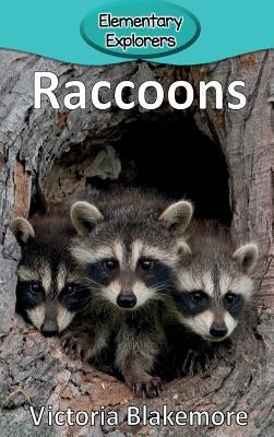 Raccoons by Blakemore, Victoria