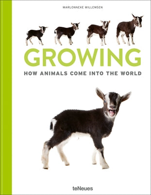 Growing: How Animals Come Into Our World by Willemsen, Marlonneke