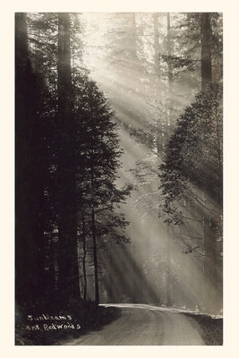 Vintage Journal Sunbeams and Redwoods by Found Image Press