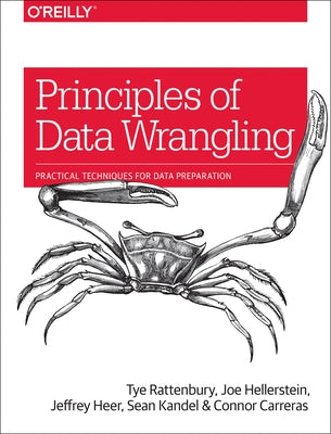 Principles of Data Wrangling: Practical Techniques for Data Preparation by Rattenbury, Tye