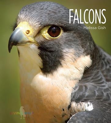 Falcons by Gish, Melissa
