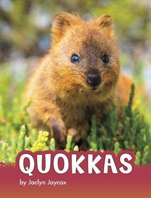 Quokkas by Jaycox, Jaclyn