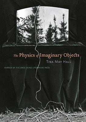 The Physics of Imaginary Objects by Hall, Tina May