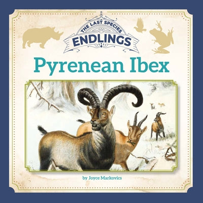 Pyrenean Ibex by Markovics, Joyce
