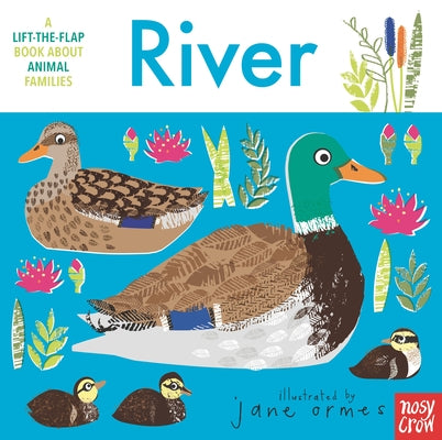 Animal Families: River by Ormes, Jane