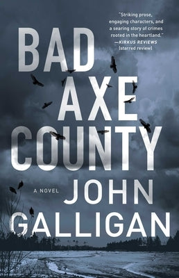 Bad Axe County by Galligan, John