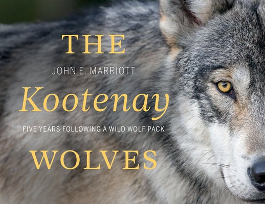 The Kootenay Wolves: Five Years Following a Wild Wolf Pack by Marriott, John E.