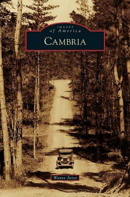 Cambria by Attoe, Wayne