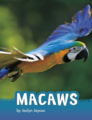 Macaws by Jaycox, Jaclyn