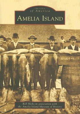 Amelia Island by Hicks, Rob