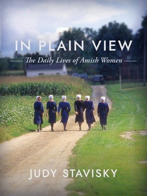 In Plain View: The Daily Lives of Amish Women by Stavisky, Judy