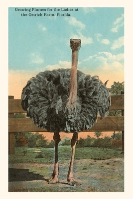 Vintage Journal Ostrich, Florida by Found Image Press