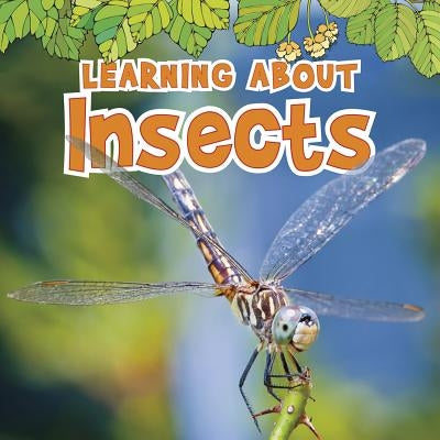 Learning about Insects by Veitch, Catherine