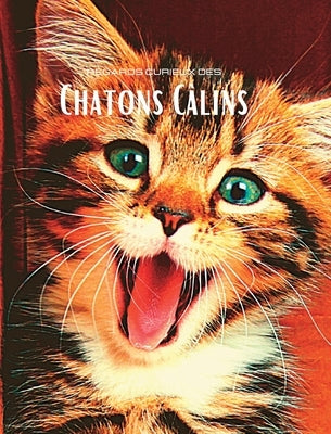 Regards curieux des Chatons Câlins: Album photo en couleur avec de magnifiques chatons. by Clayderson, Hayden