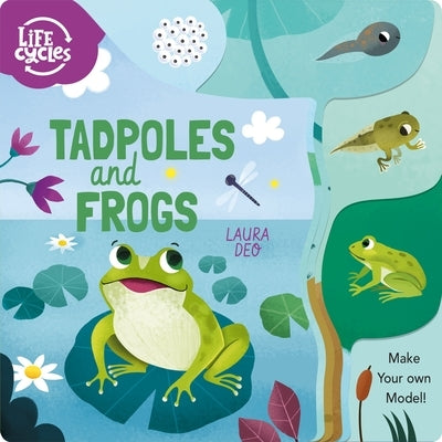 Tadpoles and Frogs: Make Your Own Model! by Savery, Annabel