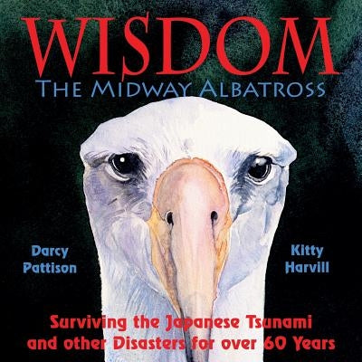 Wisdom, the Midway Albatross: Surviving the Japanese Tsunami and Other Disasters for Over 60 Years by Pattison, Darcy