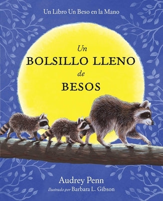 Un Bolsillo Lleno de Besos = A Pocket Full of Kisses by Penn, Audrey