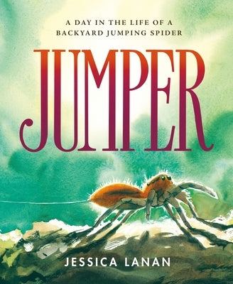 Jumper: A Day in the Life of a Backyard Jumping Spider by Lanan, Jessica
