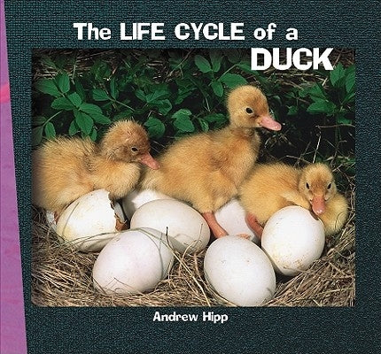 The Life Cycle of a Duck by Hipp, Andrew