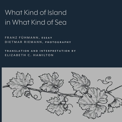 What Kind of Island in What Kind of Sea? by F&#252;hmann, Franz