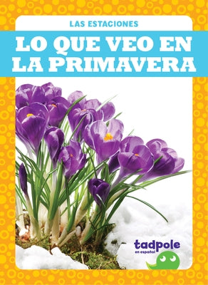 Lo Que Veo En La Primavera (What I See in Spring) by Jacks, Danielle J.