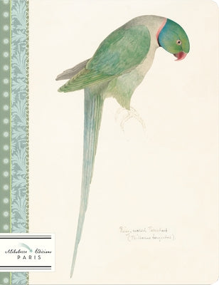 Perruche-Parakeet: Watercolor of Ring Necked Parakeet Circa 1835 by Edward Lear (1812-1888) by Alibabette Editions Paris