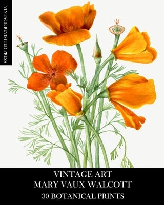 Vintage Art: Mary Vaux Walcott 30 Botanical Prints by Press, Vintage Revisited