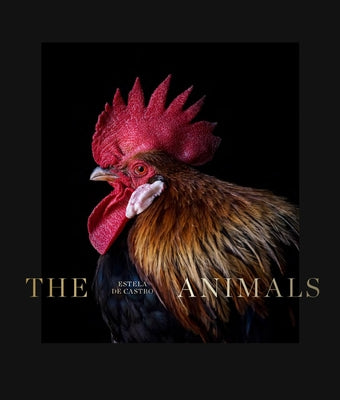 Estela de Castro: The Animals by de Castro, Estela