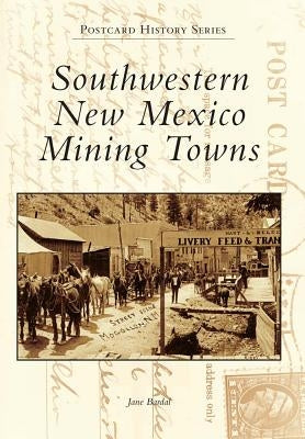 Southwestern New Mexico Mining Towns by Bardal, Jane